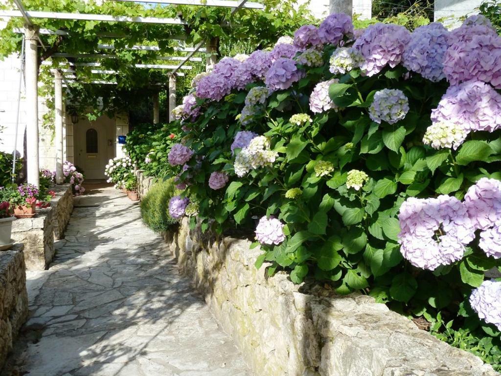 Nice Apartment & Room In Cavtat Exterior photo