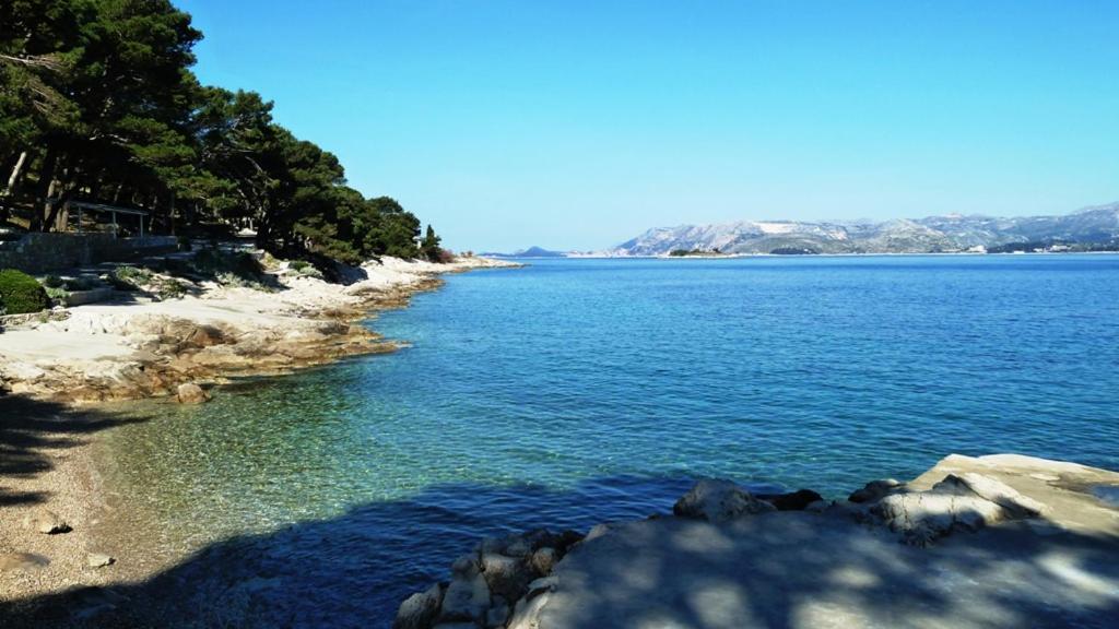 Nice Apartment & Room In Cavtat Exterior photo