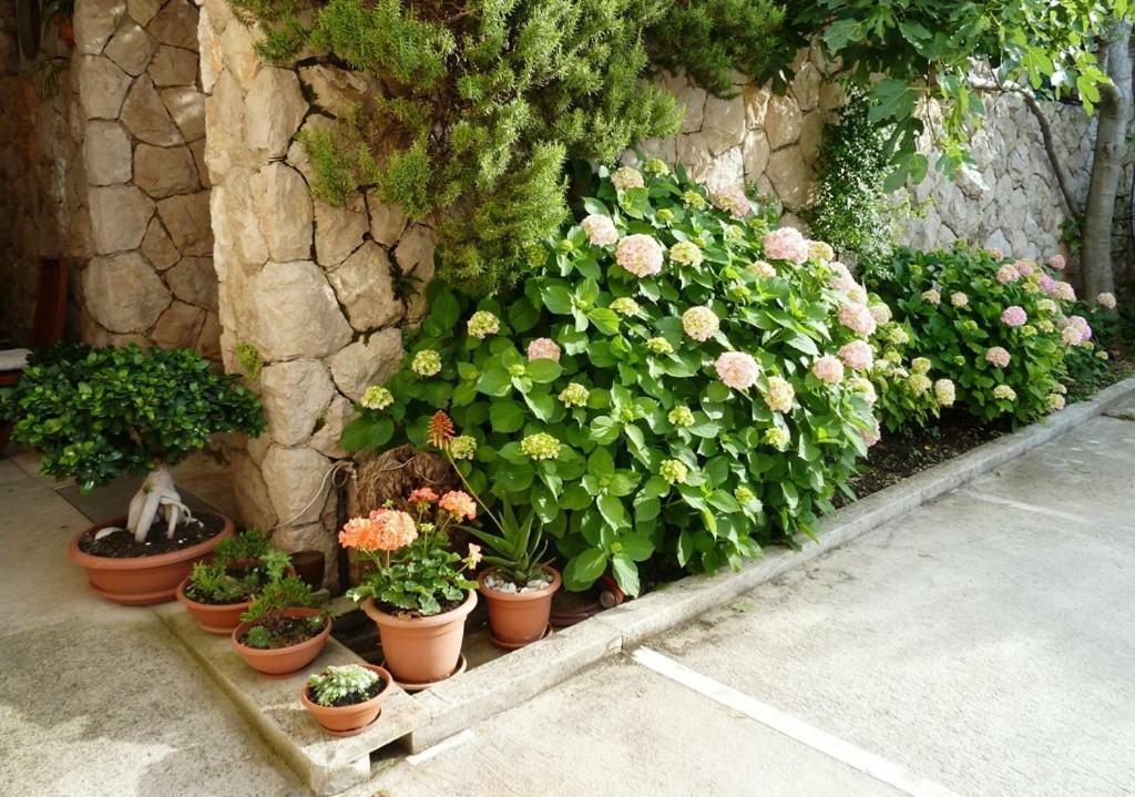 Nice Apartment & Room In Cavtat Exterior photo